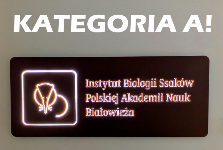 23.07.2026 – IBS PAN z kategorią A!