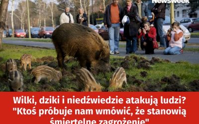 03.08.2026 – Strach przed dzikimi zwierzętami
