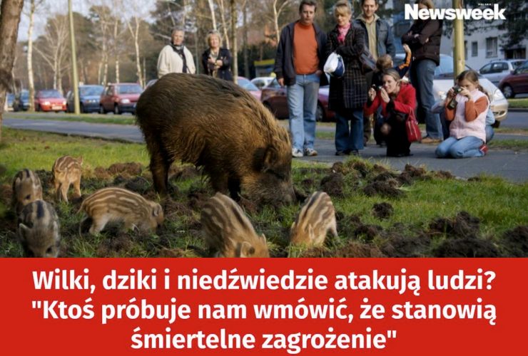 03.08.2026 – Strach przed dzikimi zwierzętami
