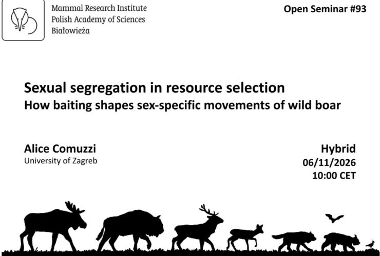 MRI PAS Open Seminar #93 – 6.11.2026