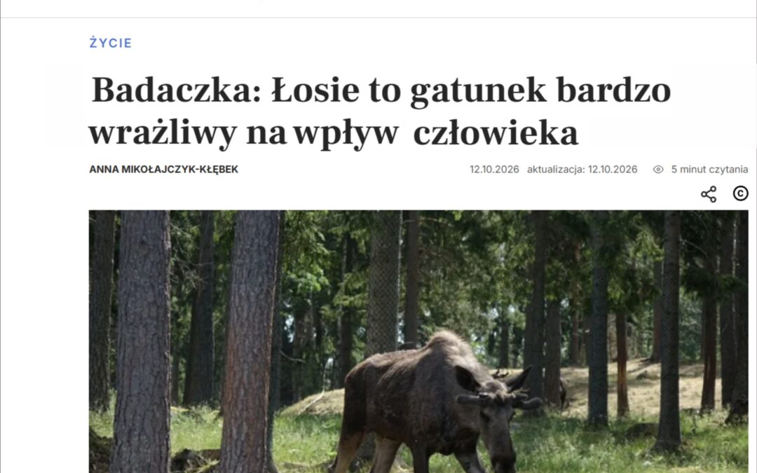 12.10.2026 – Nauka w Polsce o wpływie człowieka na populacje łosi
